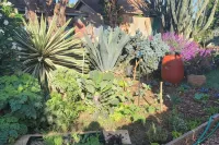 Urban Farm House +Hot Tub+Pool - บังกะโล