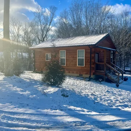 New! Cozy 4 Guest Cabin in Damascus! Pet Friendly!
