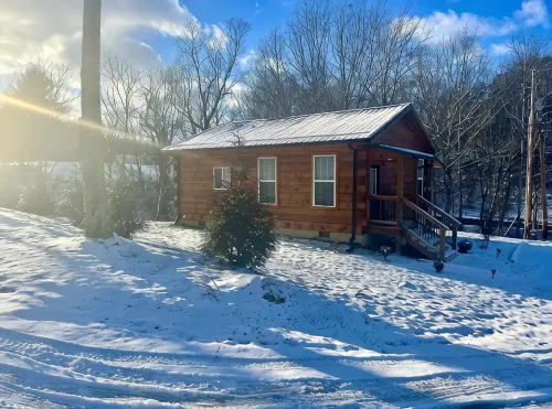 New! Cozy 4 Guest Cabin in Damascus! Pet Friendly! - Chalets