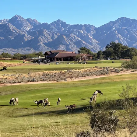 Resort Golf Course Living With Amazing Golf and Mountain Views