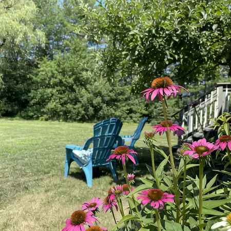 Quiet Cottage Surrounded by Beaches, Restaurants, Hiking, Shops & Kennebunkport