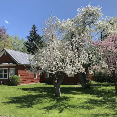 Charming Grandma Chic home in the Wood River Valley steps from the bike path