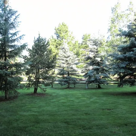 Cozy studio on Copper Moutain only 100 yards to the Super Bee.  Pet Friendly!