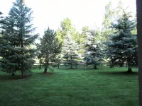 Cozy studio on Copper Moutain only 100 yards to the Super Bee.  Pet Friendly! - 3-Star