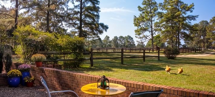 Tanglewood Farm - Fox Den Suite 1 Br/1BA Private Apartment on Horse Farm Hotels in Moore County