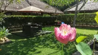 Mama Bella's Retreat - Mountain view