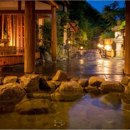 Yumeguri No Yado Matsunoya Kasen Guest House