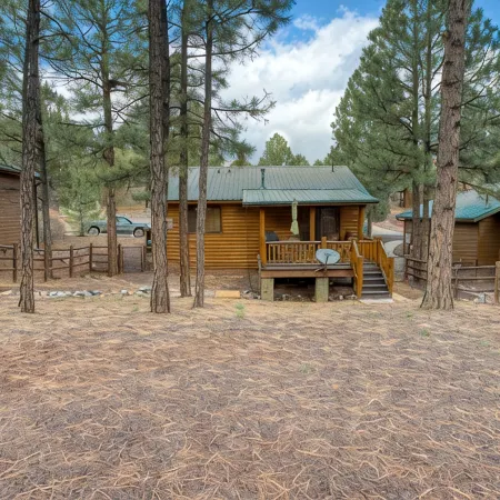 Bear Haven! 2 Bedroom Show Low Cabin!