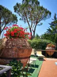 Beautiful rustic villa in Tuscany in Monteriggioni, between Siena and Florence. - Boutique