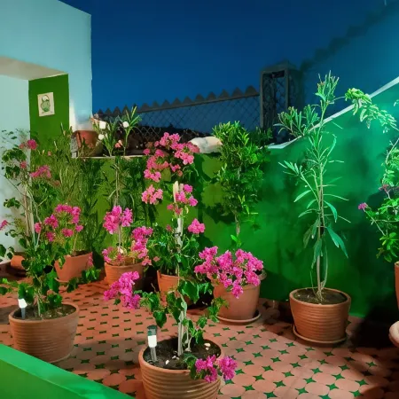 La Maison des Amis