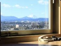 Tachikawa Washington Hotel - 3 stelle