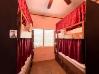 Royal Rat Hostel - Hostels
