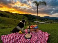 Celeiro Taquaras em Rancho Queimado - SC - Chalets