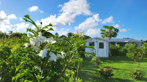 La Kaz a Kikite - Magnificent luxury villa with swimming pool - Villas