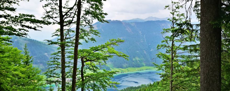Yunding Mountain Scenic Area, Jintang