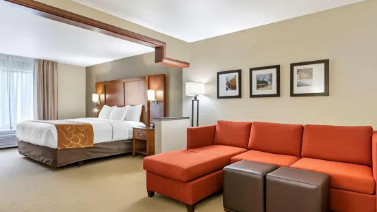 Comfort Suites Grand Rapids North