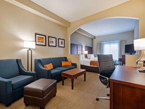 Comfort Suites Downtown