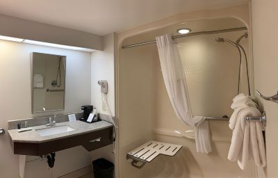 Standard King Room with Roll-in Shower-Accessible/Non-Smoking