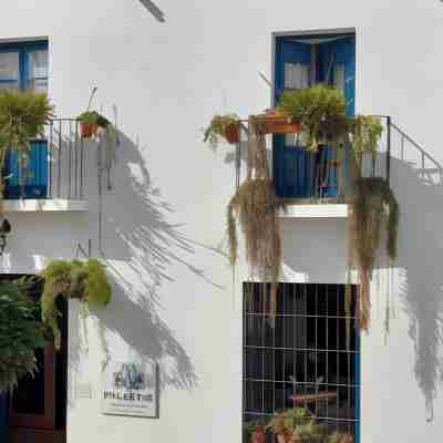 Casa Rural Miller's of Frigiliana Hotel Exterior