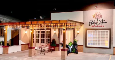 Pousada Bello Outono Hotels in Канела