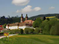 Hotel Hirschen Hotels in Kirchzarten