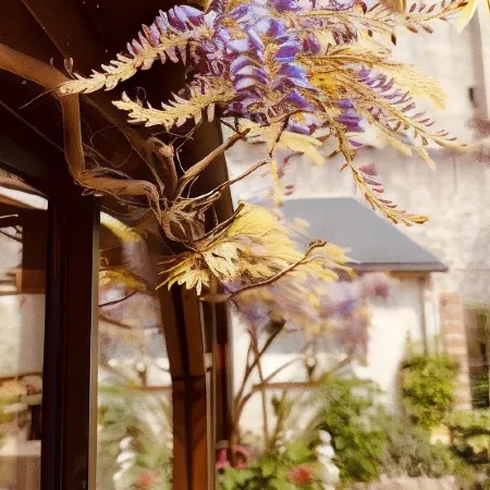 Hotel de la Sologne