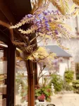 Hotel de la Sologne Hotel di Clery-Saint-Andre