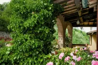 Hotel Girifalco - Nature & Relax Hôtels à : Massa Marittima