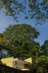 Greenwood Edge Kandy