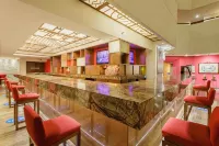 Camino Real Aeropuerto - Rooftop Pools