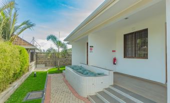 Rock Hyrax Hotel