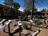 Navajo Nation Inn Hoteles en Window Rock