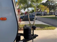 Sarasota Bay Dream