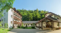 Pensiunea Sibiel Hotels in Rasinari