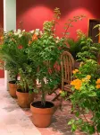 Chí Hiếu Homestay Các khách sạn ở Bạc Liêu