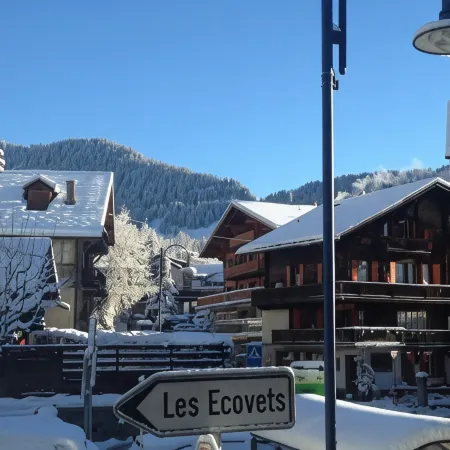 Chalet la Griotte