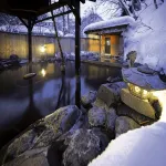 Onsen Theme Park Ryuudou - Mountain view