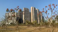 Fangdong Xiaojiejie Mane Apartment (Donghong Road)