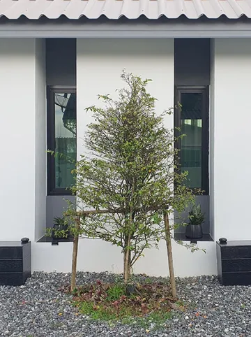 รูปภาพของเฮย์ โฮมสเตย์