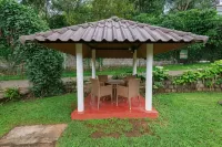 Hotel Treetop Hotel a Thekkady