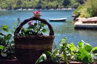 Apartments Vera Hotels in Sobra