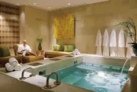Four Seasons St. Louis - Badekar