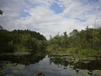 Große Wohnung mit Loggia Direkt im Naturschutzgebiet Hotels in Темплін