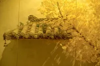 Solitude art inn - Homestays