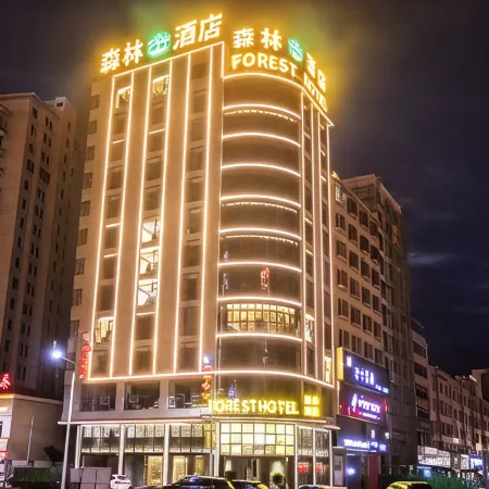 Forest Hotel Отели в г. Лепин