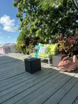Sea cottage 2/1 in white sound on GTC Abaco Bahamas full kitchen, AC & WiFi