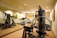 Holiday Inn Express & Suites KINGSVILLE by IHG - Træningscentre