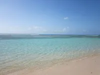 F2 apartment near the sea