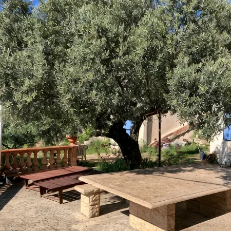 Charming country house in the Provencal countryside among vineyards and olive trees