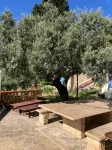 Charming country house in the Provencal countryside among vineyards and olive trees - Homestays
